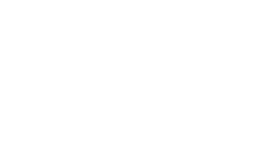 Queens Connexus
